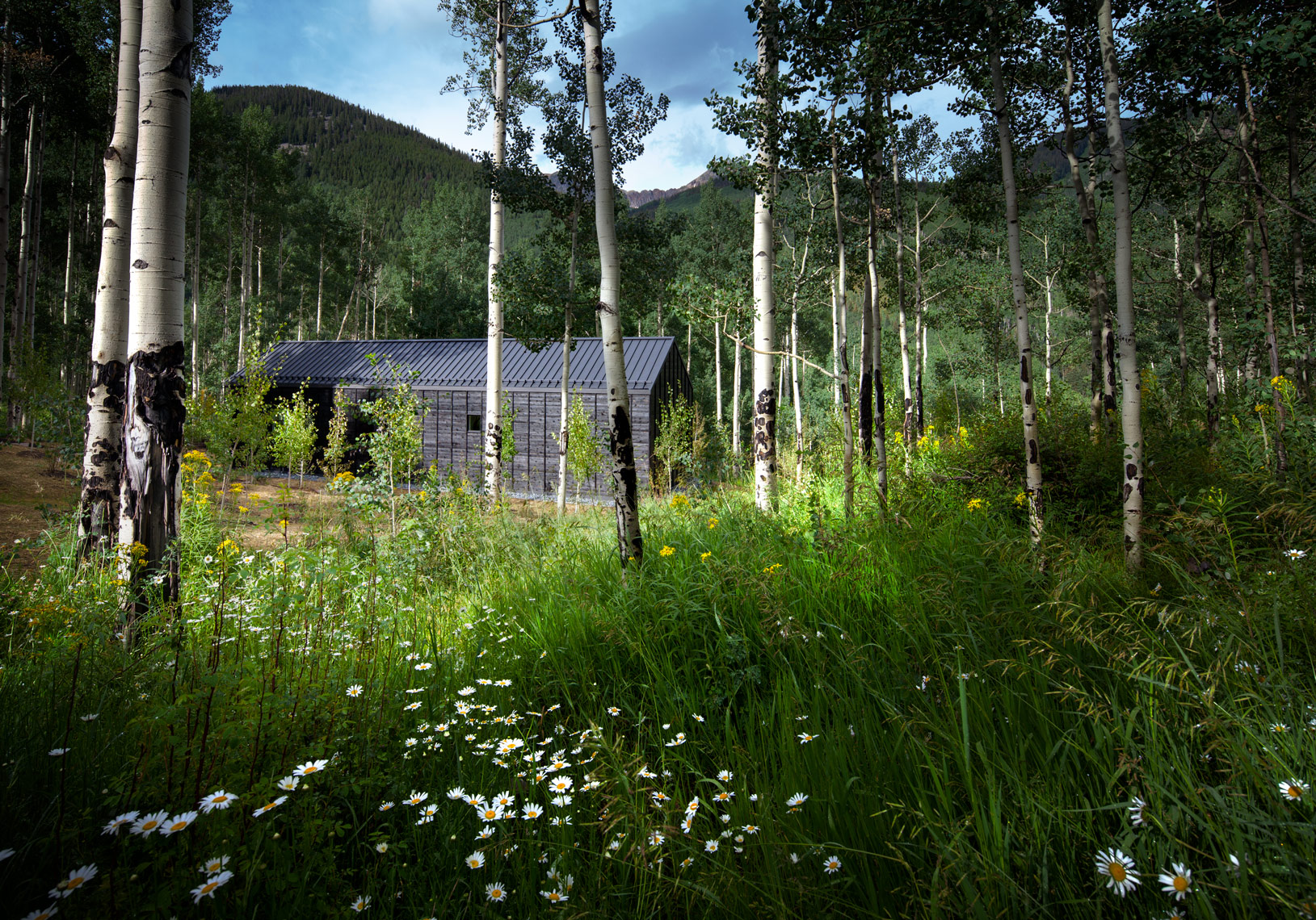 Guest house in Aspen Colorado