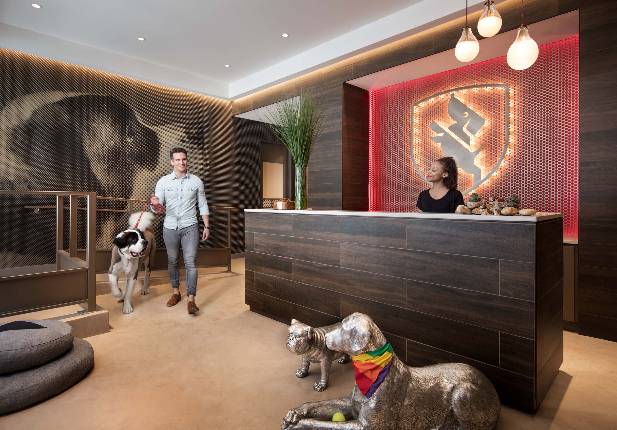 Dog City Doggy Daycare at Caladonia in Chelsea by the Related Companies